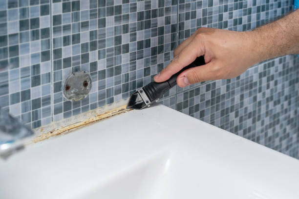 Best Commercial Mold Removal  in Calvert, TX