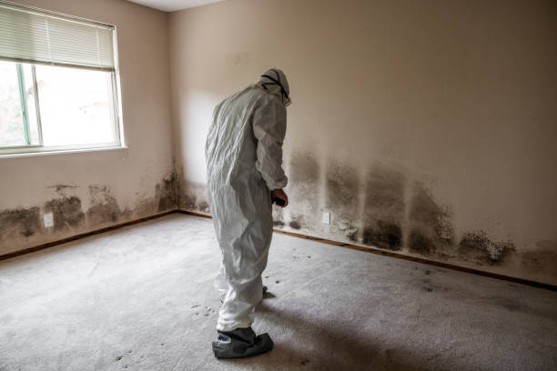 Best Mold Testing  in Calvert, TX