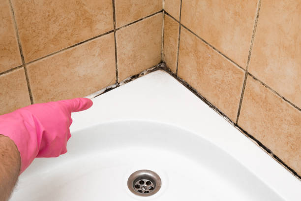 Best Emergency Mold Removal  in Calvert, TX